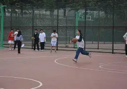 多米下载地址-篮球联赛什么意思